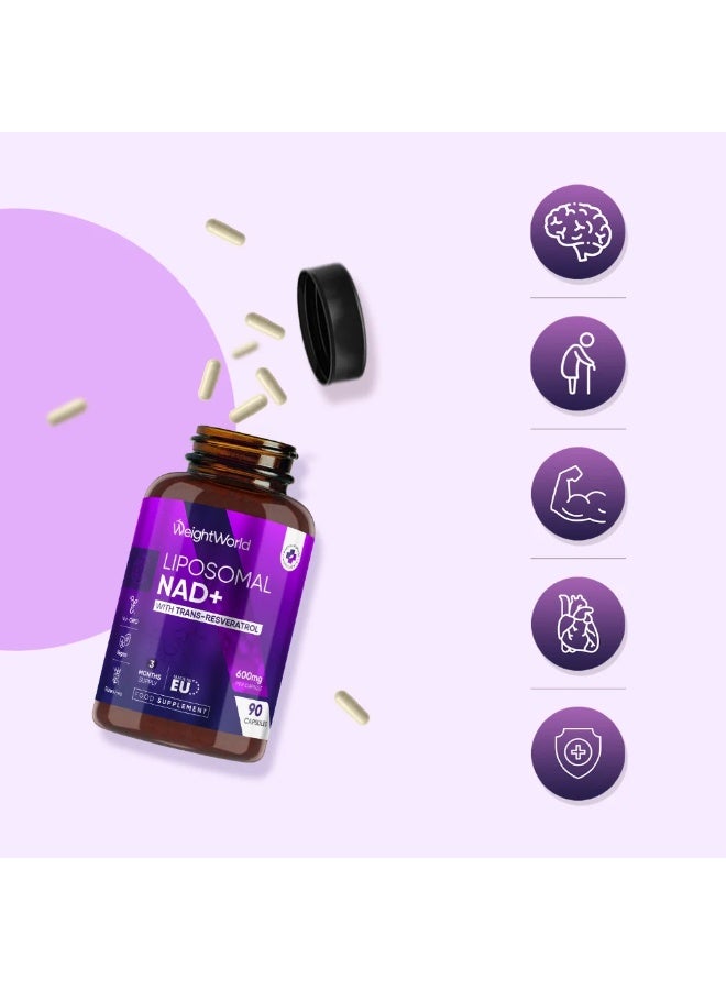 NAD+ ليبوسومال مع ريسفيراترول – يدعم الطاقة الخلوية وطول العمر – 600 مجم – 90 كبسولة – صنع في المملكة المتحدة - Image 3